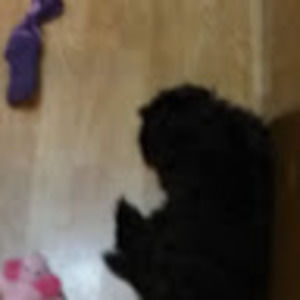 Meet your Posher, Gianna